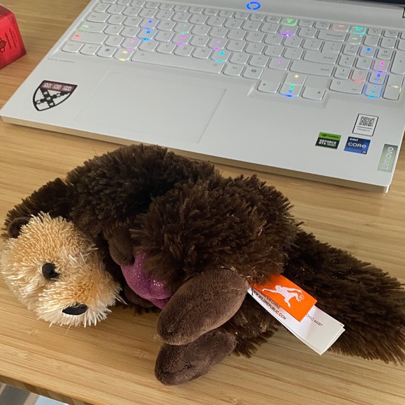 Brown Stuffed Otter with Purple Heart - Picture 2 of 5